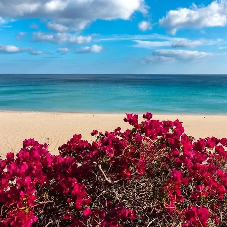 8211 Wifi Casa vacanze *